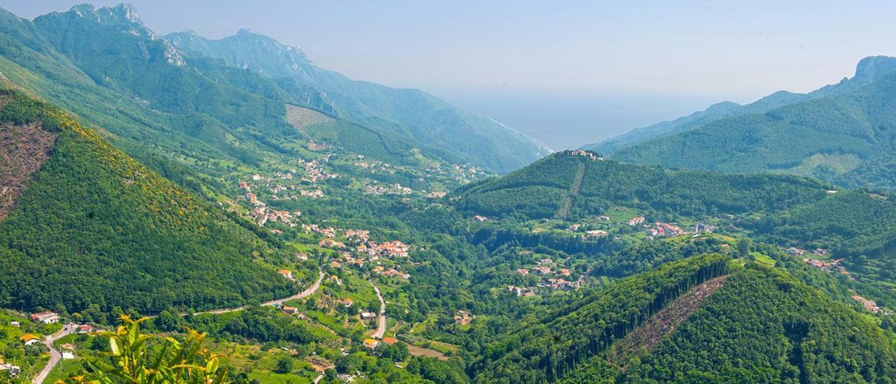 Casa Vacanza DaRó Tramonti Exterior foto